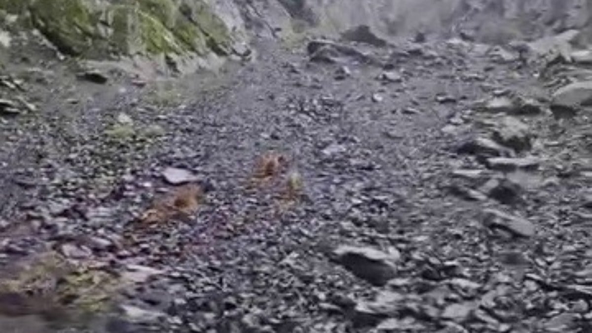 Erzurum’da motosikletli vatandaşları ayı kovaladı