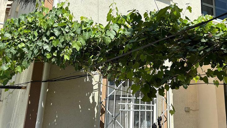 4. kattan düşen 1 yaşındaki Sahra’nın mucize kurtuluşu