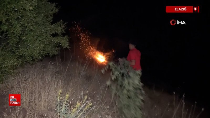 Elazığ’daki orman yangını kontrol altına alındı