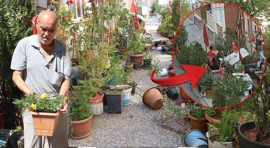 Eşi için kaldırımı bahçeye çevirmişti! Kadın komşusu kabusu oldu