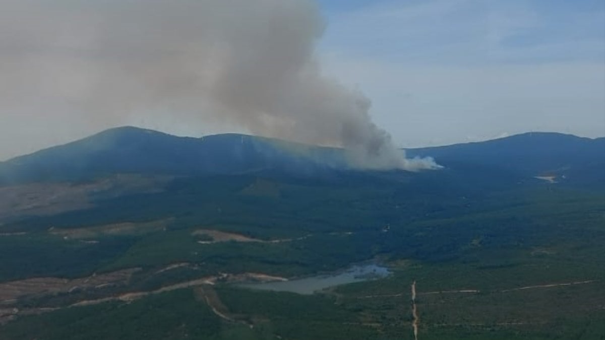 Yalova’da orman yangını