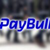 Ödeme platformu PayBull’a el konuldu