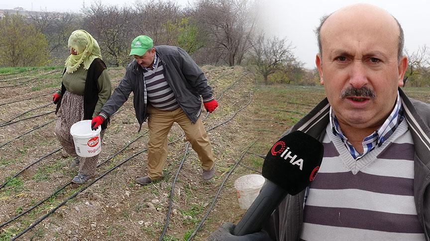 Emekli oldu, deneme amacıyla ekti tüm hayatı değişti! ‘Gramı 600, kilosu 2.500 TL’